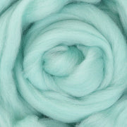 Ashford Corriedale Fibre 100g Pack - 068 Dyed  Sliver Seafoam - DSFP100