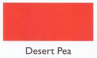 Desert Pea