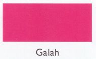 Galah