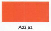 azalia.190