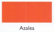 azalia.190