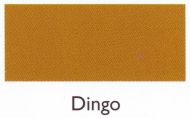 dingo.190