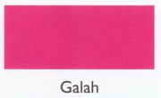 galah.190