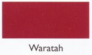 waratah.190